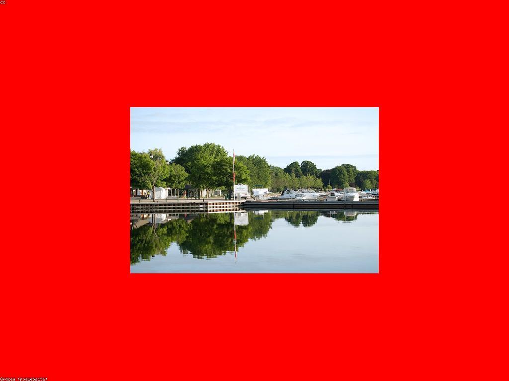 ផ្តល់ជូននៃការបង្វិលឥតគិតថ្លៃ