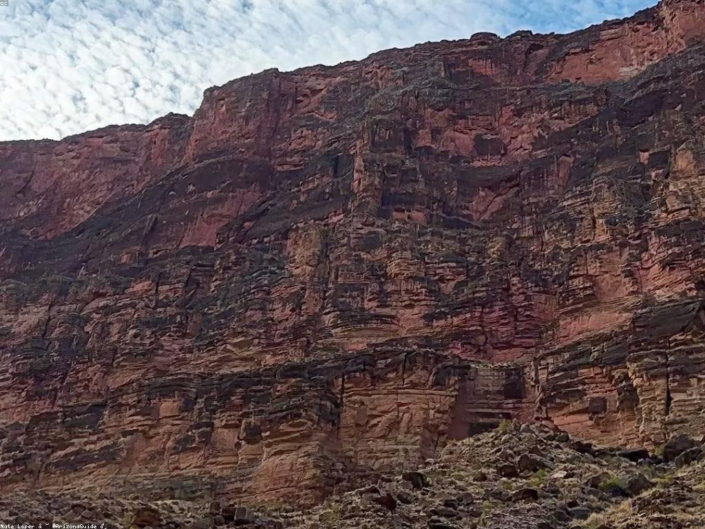 ផ្តល់ជូននៃការបង្វិលឥតគិតថ្លៃ