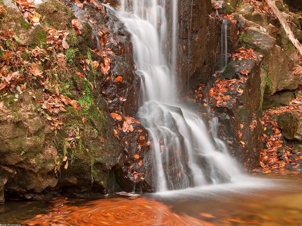 កំរិតនៃការបង្វិលឥតគិតថ្លៃ: ការបង្កើតនិងការពិចារណា