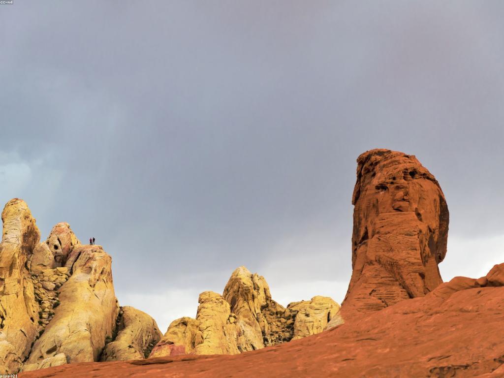 យុទ្ធសាស្ត្រដើម្បីទទួលបានចរាចរណ៍ឥតគិតថ្លៃ