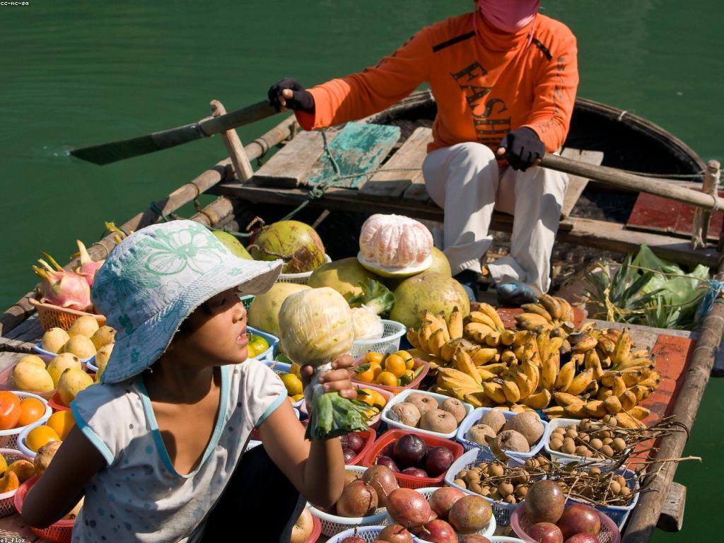 ផ្តល់ជូននៃការបង្វិលឥតគិតថ្លៃ