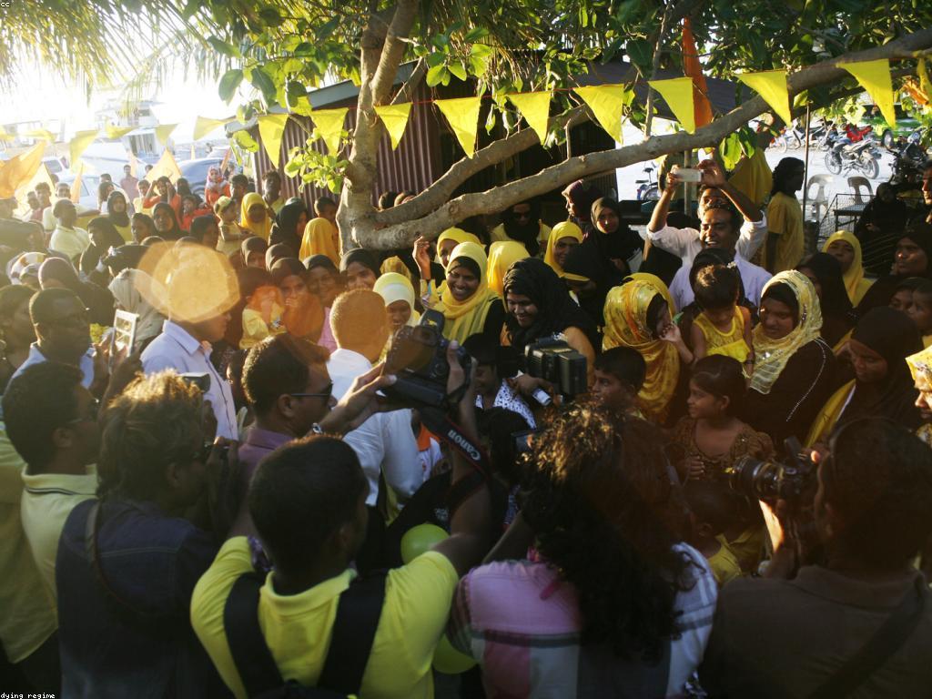 ការយល់ដឹងអំពីការបង្វិលឥតគិតថ្លៃ: យុទ្ធសាស្ត្រសម្រាប់អ្នករួមចំណែក